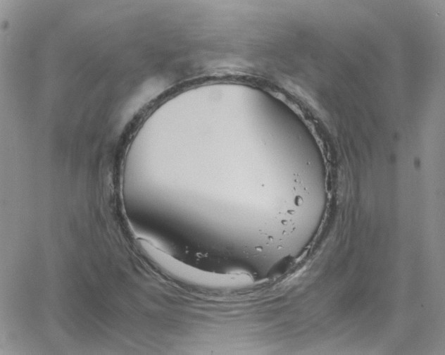 X0000065251261200603131119