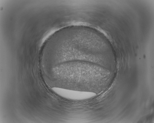 X0000065251263200603131119