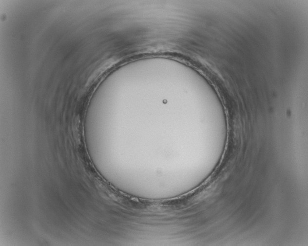 X0000065251265200603131119