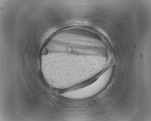 X0000065251267200603131119