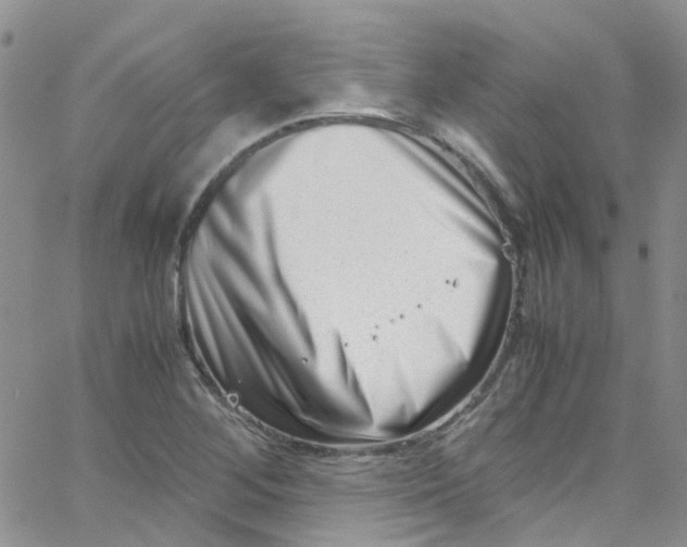 X0000065251268200603131119