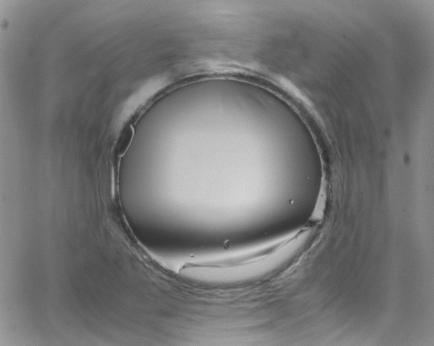 X0000065251269200603131119