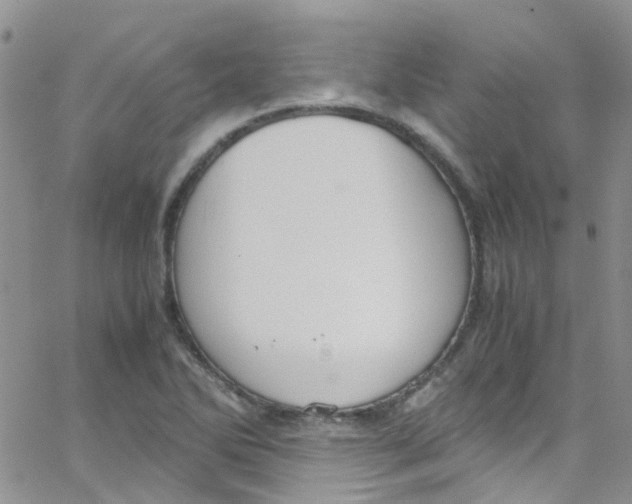 X0000065251270200603131119