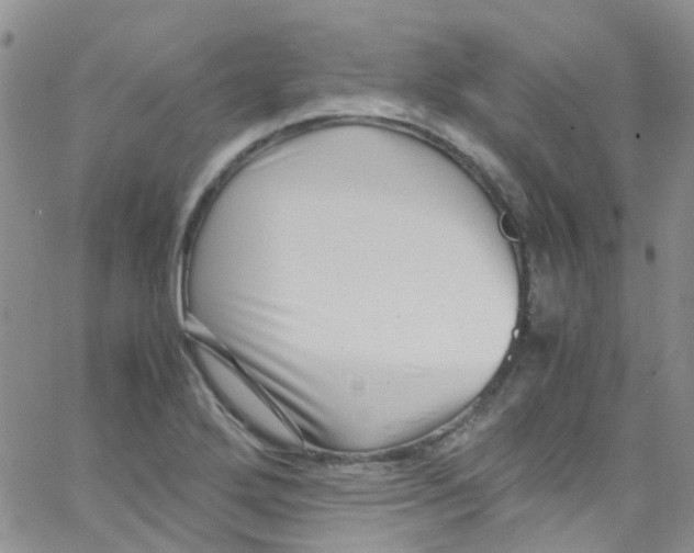 X0000065251272200603131119