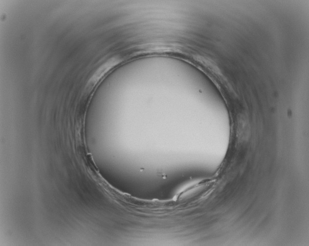 X0000065251273200603131119