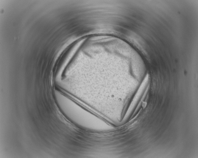 X0000065251276200603131119