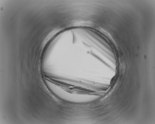 X0000065251277200603131119