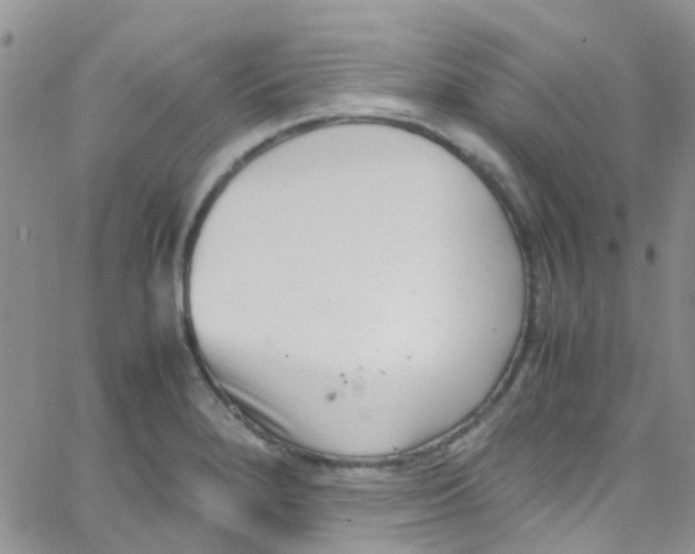 X0000065251280200603131119