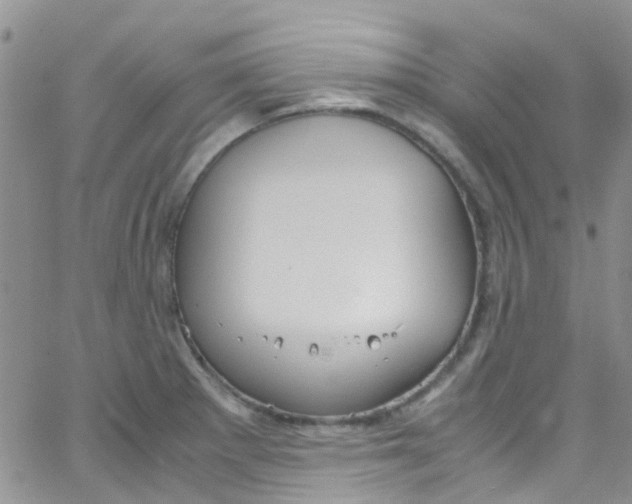 X0000065251281200603131119