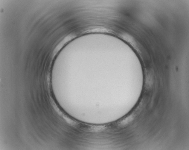 X0000065251282200603131119