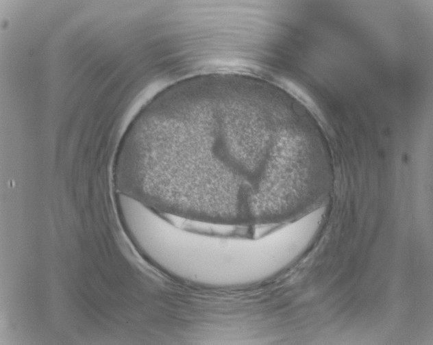 X0000065251283200603131119