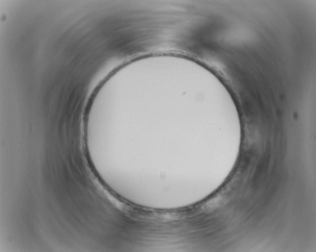 X0000065251286200603131118