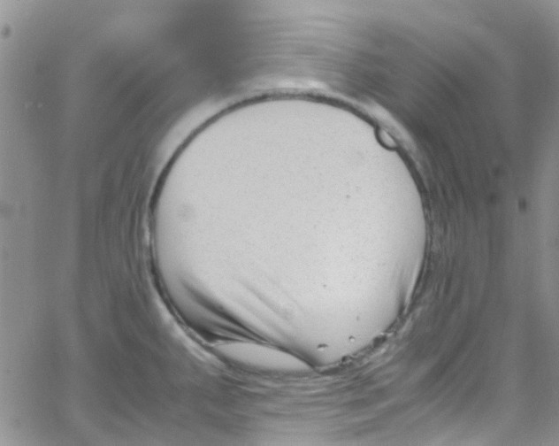 X0000065251287200603131118