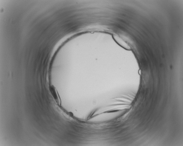 X0000065251288200603131118