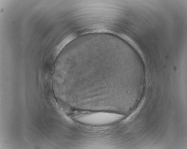 X0000065251289200603131118