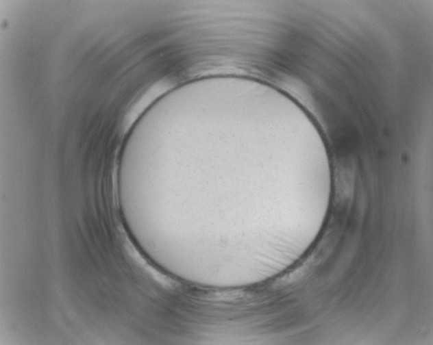 X0000065251290200603131118