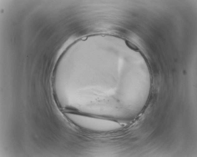 X0000065251291200603131118