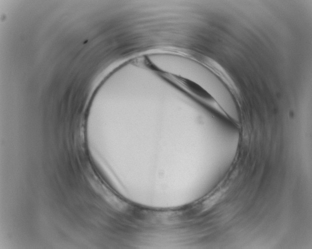 X0000065251292200603131118