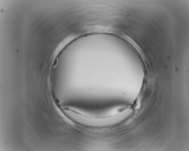 X0000065251293200603131118