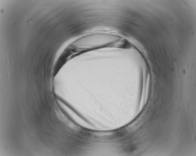 X0000065251296200603131118