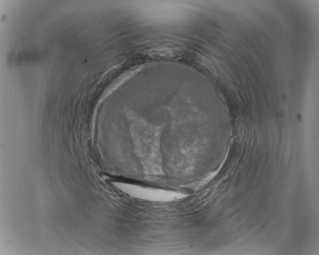 X0000065251297200603131118