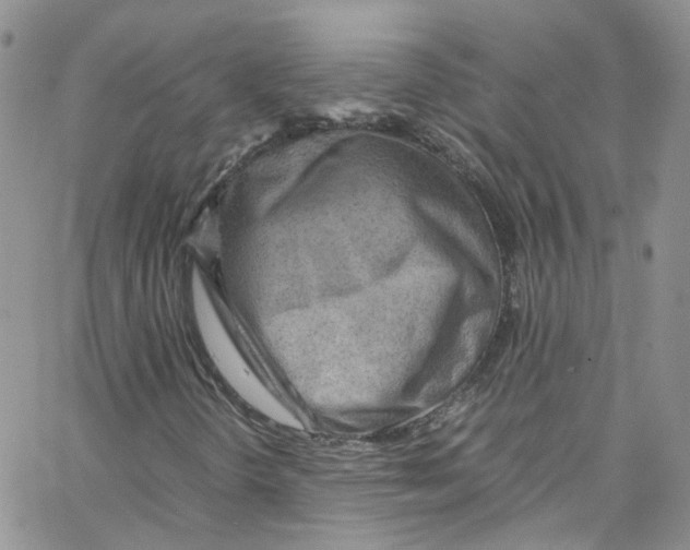 X0000065251298200603131118