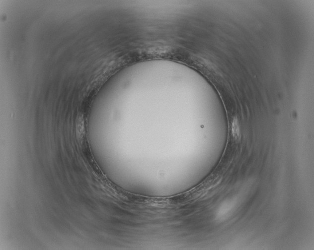 X0000065251299200603131118