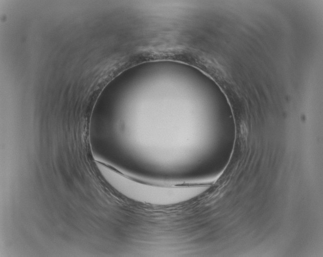 X0000065251300200603131118