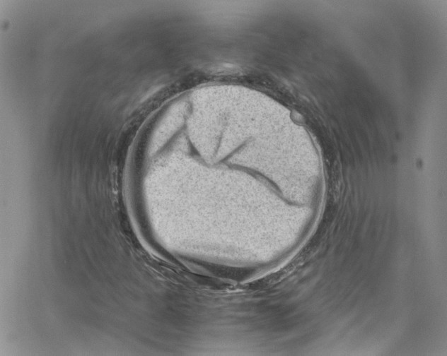 X0000065251301200603131118