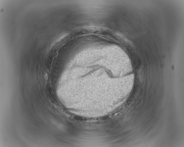 X0000065251302200603131118