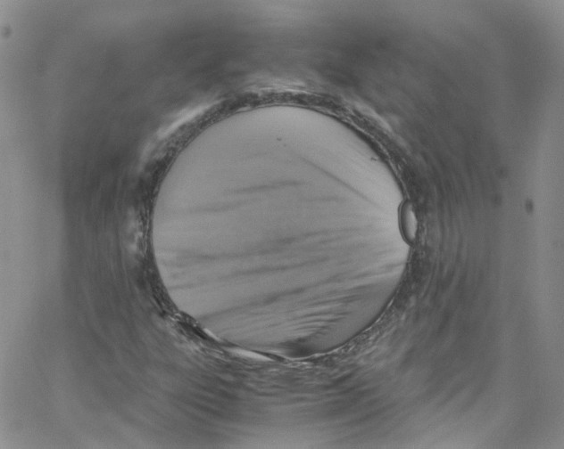 X0000065251303200603131118