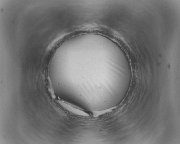 X0000065251304200603131118