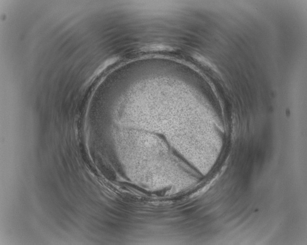 X0000065251305200603131118