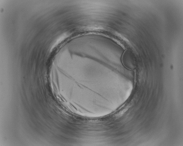 X0000065251306200603131118