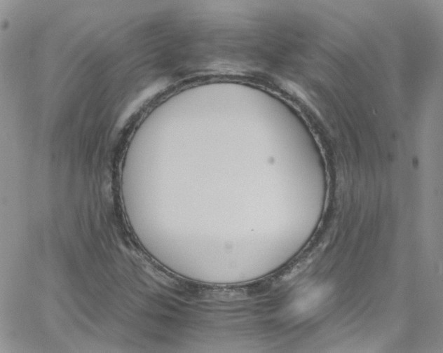 X0000065251307200603131118