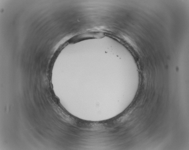 X0000065251308200603131118