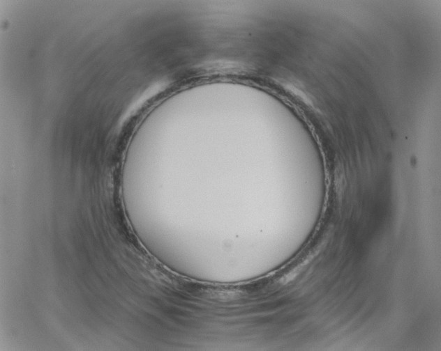 X0000065251309200603131118