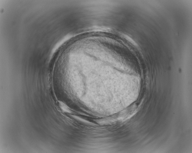 X0000065251310200603131118