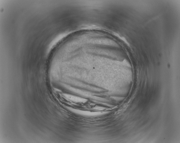 X0000065251311200603131118