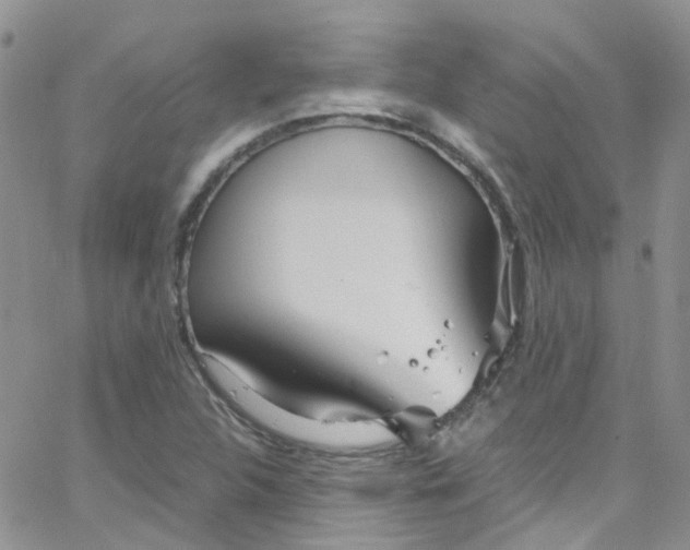 X0000065251312200603131118