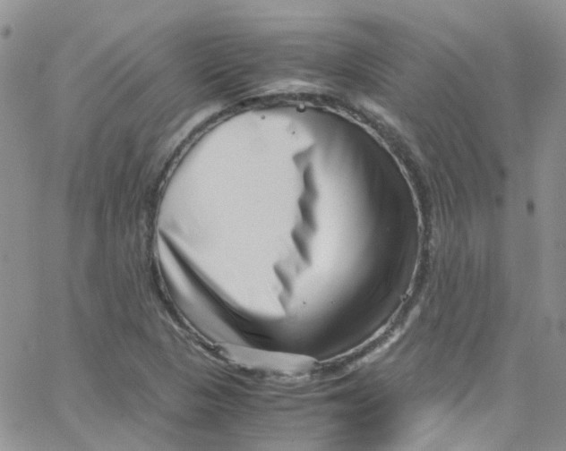 X0000065251313200603131118