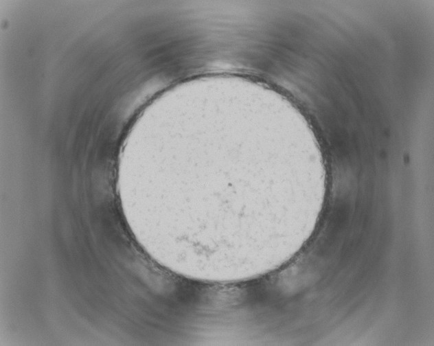 X0000065251314200603131118