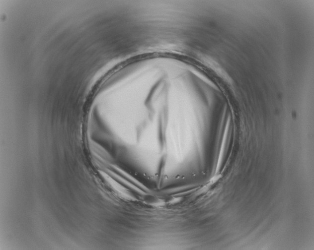 X0000065251316200603131118