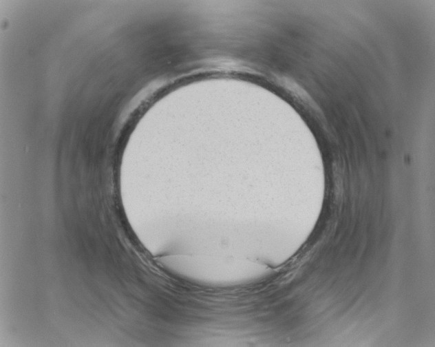 X0000065251318200603131118