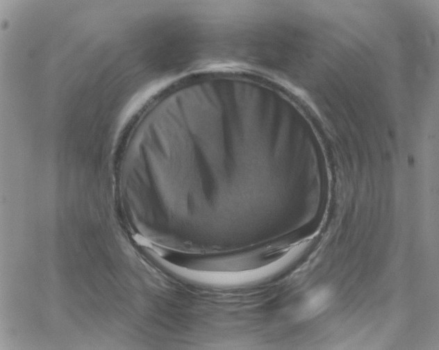 X0000065251319200603131118