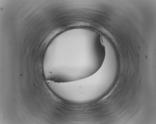 X0000065251321200603131118