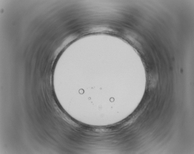 X0000065251322200603131118