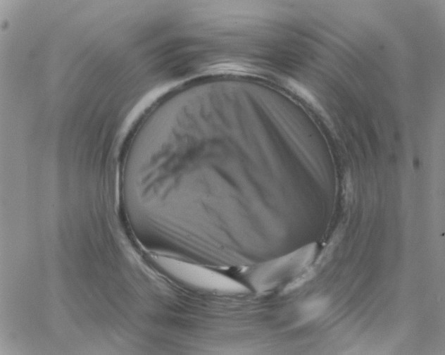 X0000065251323200603131118