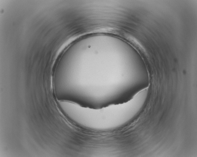 X0000065251324200603131118