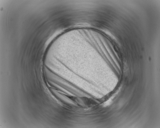 X0000065251325200603131118